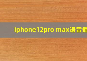 iphone12pro max语音播报